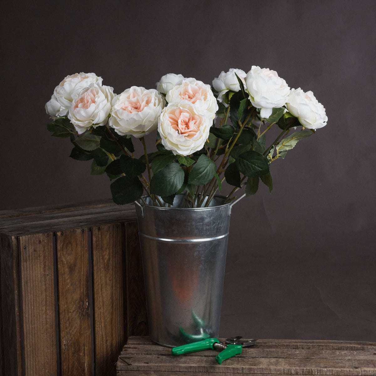 Blush Garden Rose - image 1