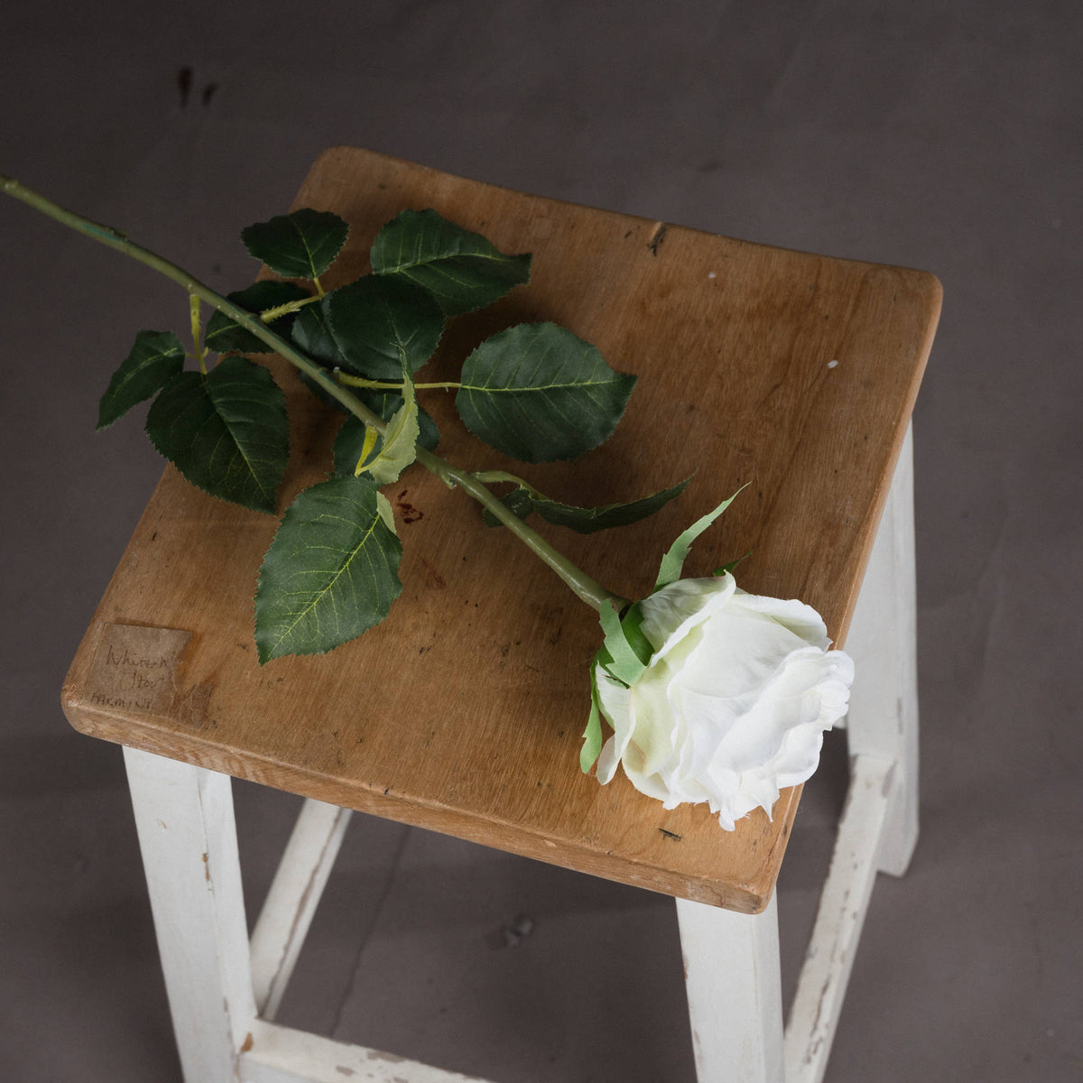 Traditional White Rose - image 2