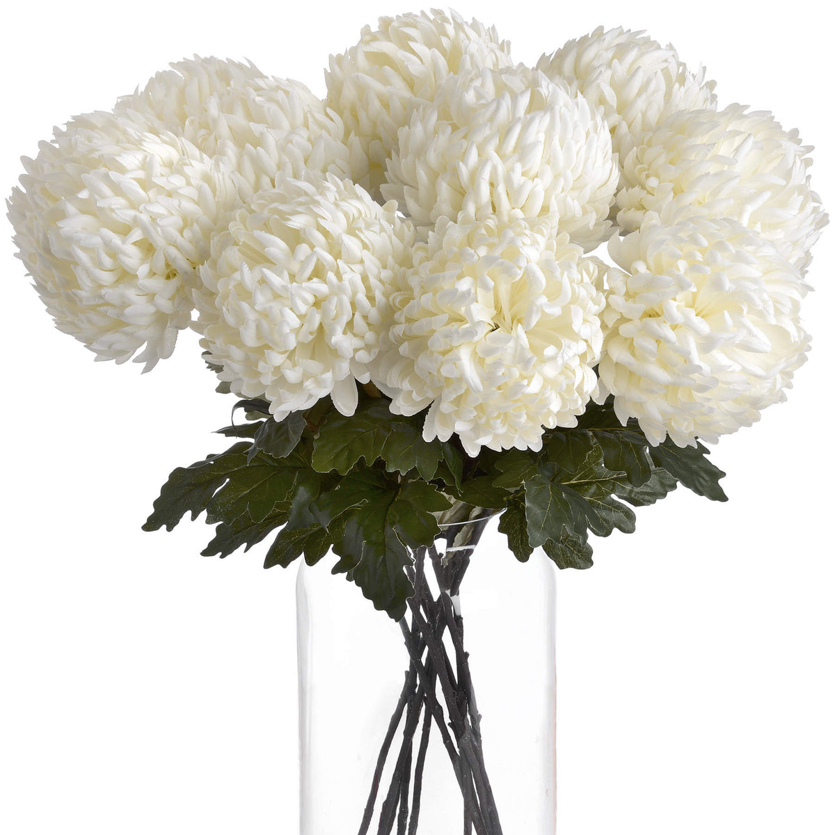 Large White Chrysanthemum - image 3