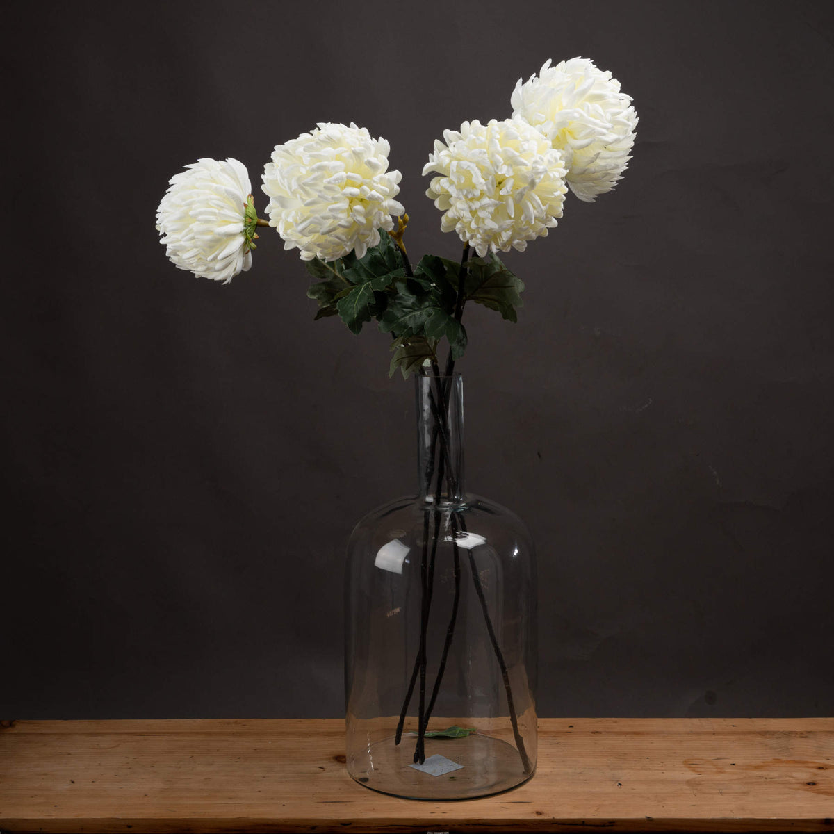 Large White Chrysanthemum - image 1