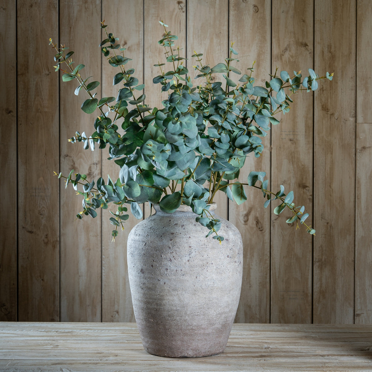 Variegated Eucalyptus - image 2