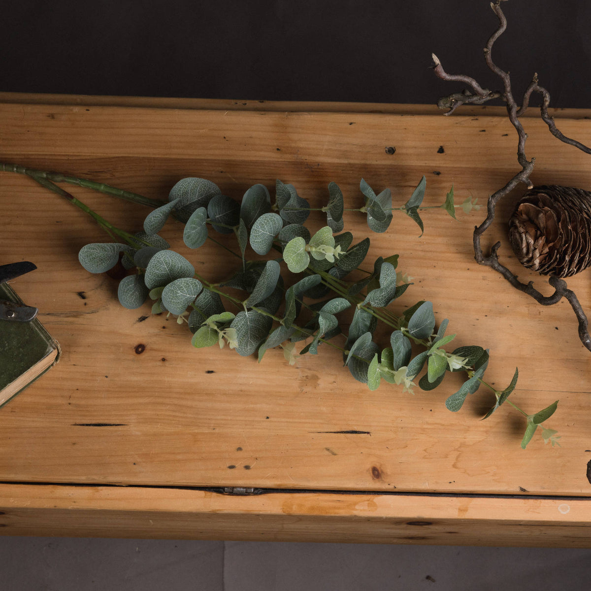 Eucalyptus Spray - image 2