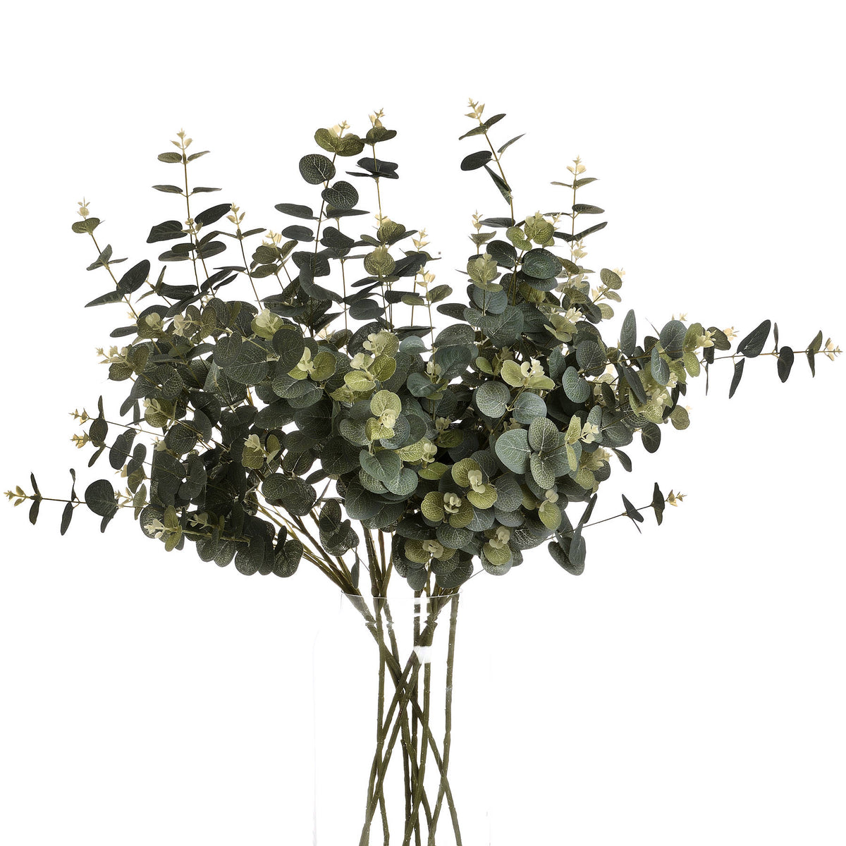 Eucalyptus Spray - image 4