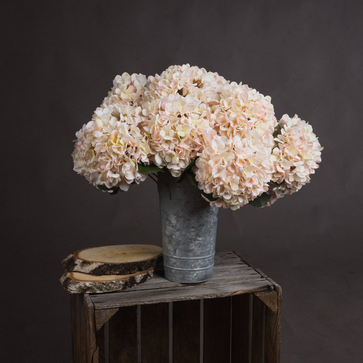 Autumn White Hydrangea - image 1