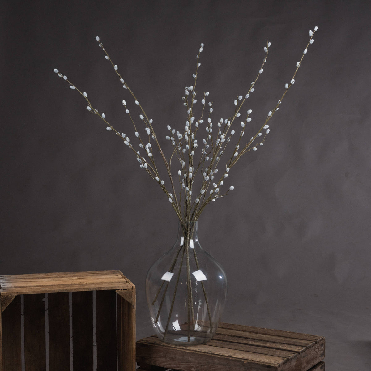 Pussy Willow Branch - image 1