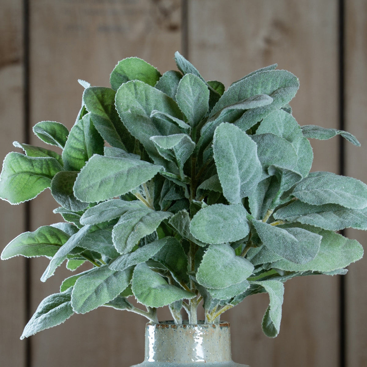 Lambs Ear Spray - image 1