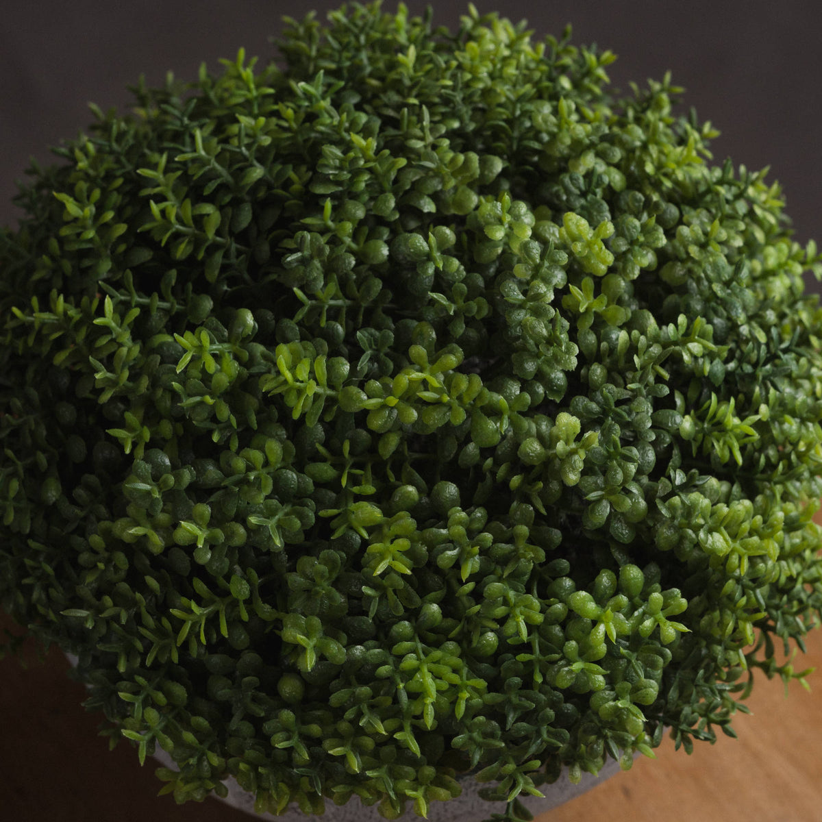 Small Hebe Globe Pot - image 3