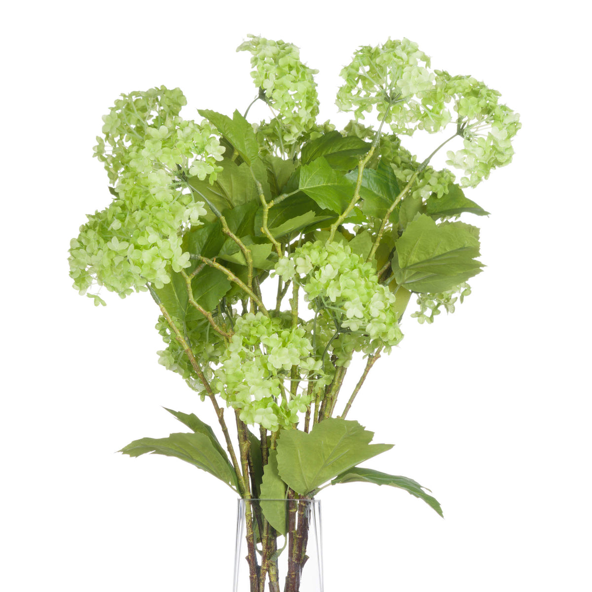 Green Viburnum Spray - image 3