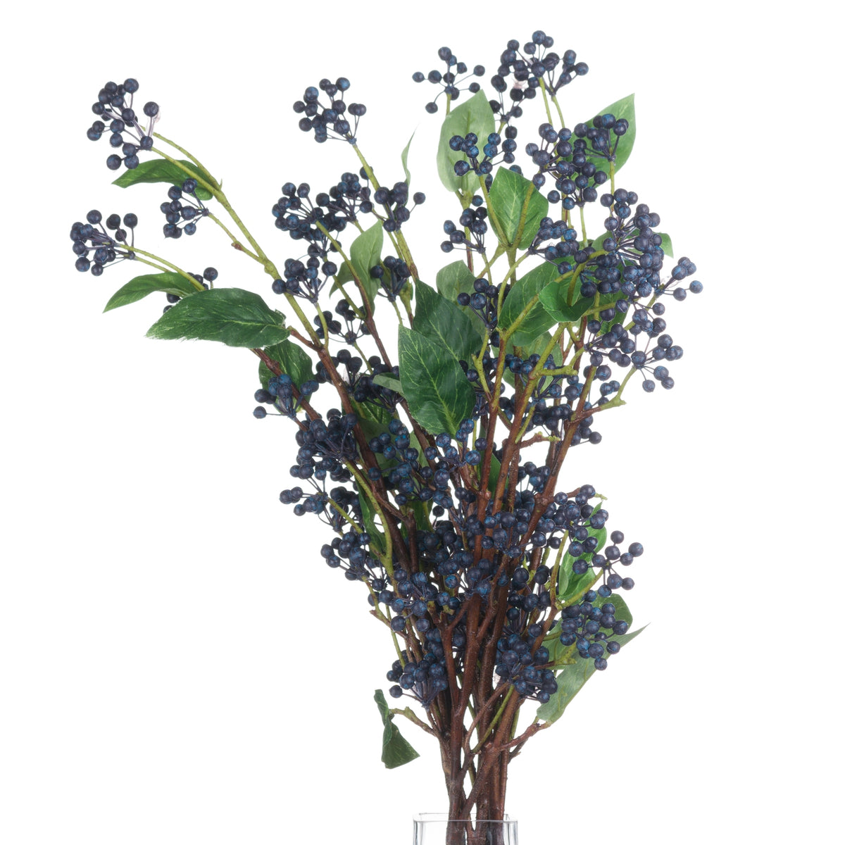 Viburnum Berry - image 3