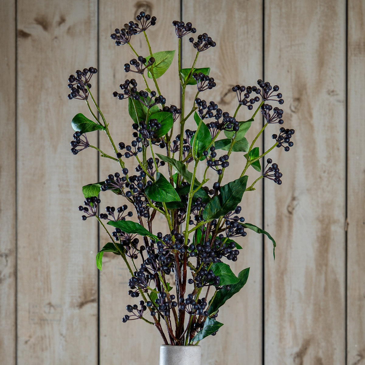 Viburnum Berry - image 1