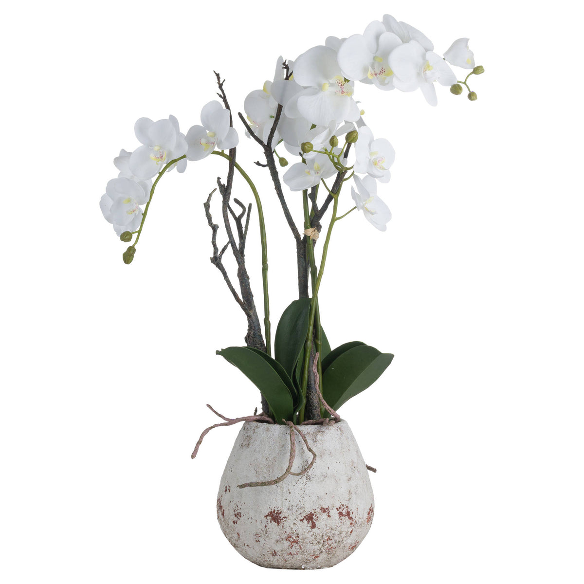 White Orchid In Stone Pot - image 2