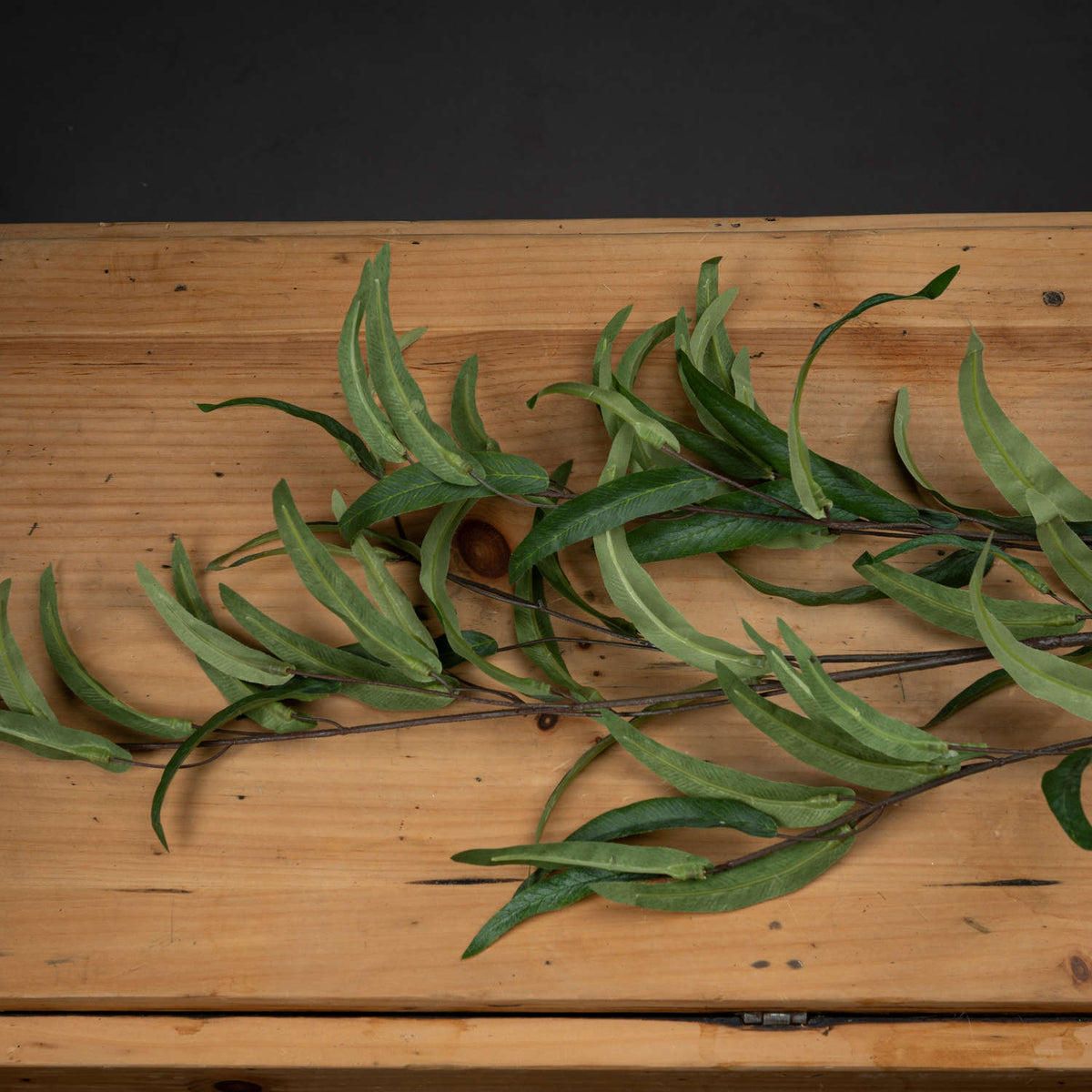 Eucalyptus Nicholii Spray - image 2