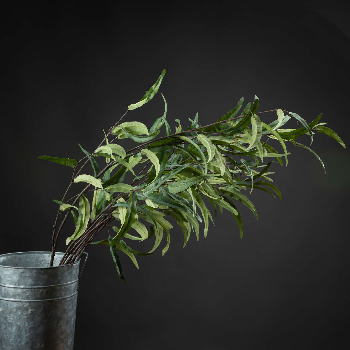 Eucalyptus Nicholii Spray - image 1