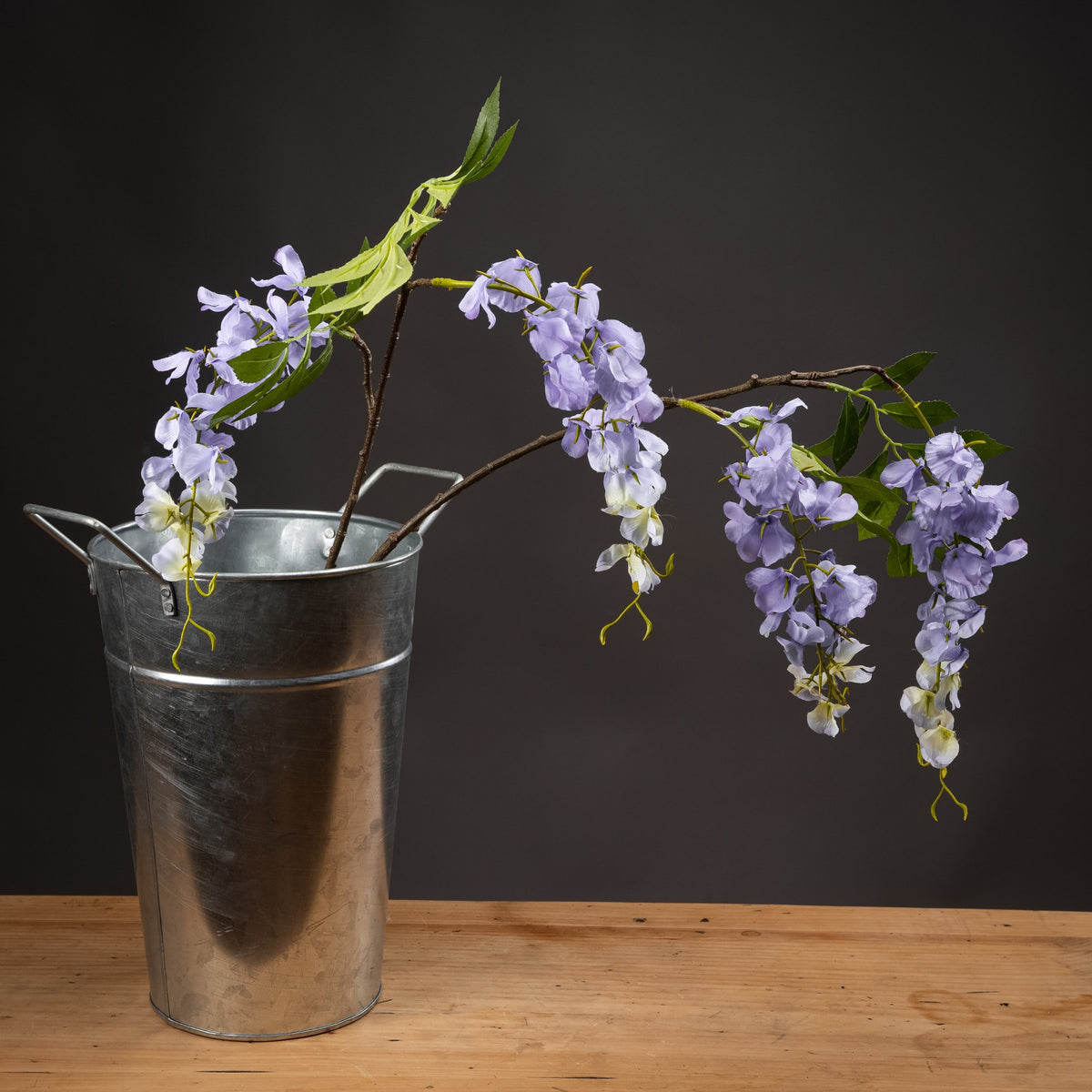 Lilac Wisteria - image 1