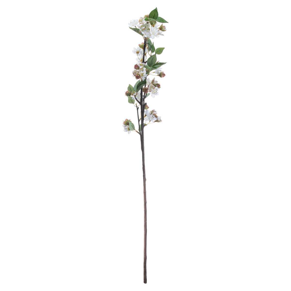 English Blossom Branch - image 4