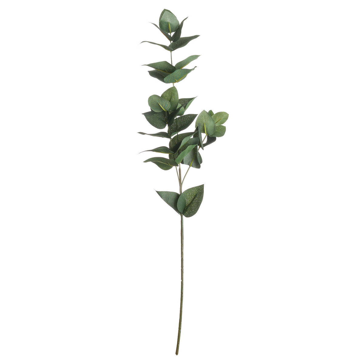 Eucalyptus Filler - image 1
