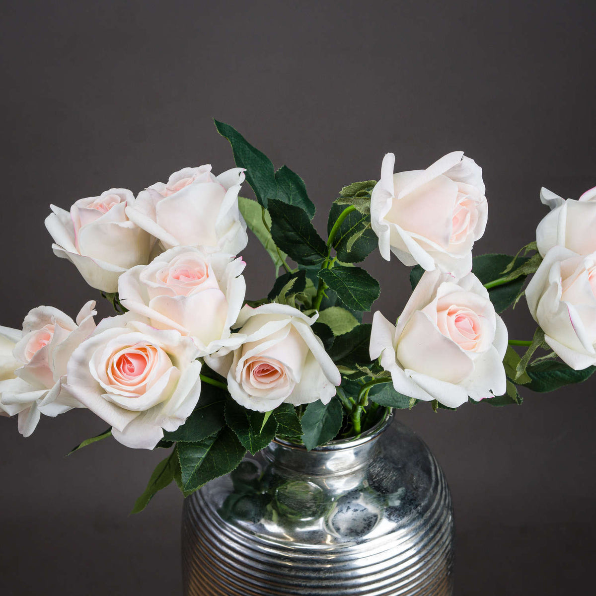 Palest Pink Tea Rose - image 2