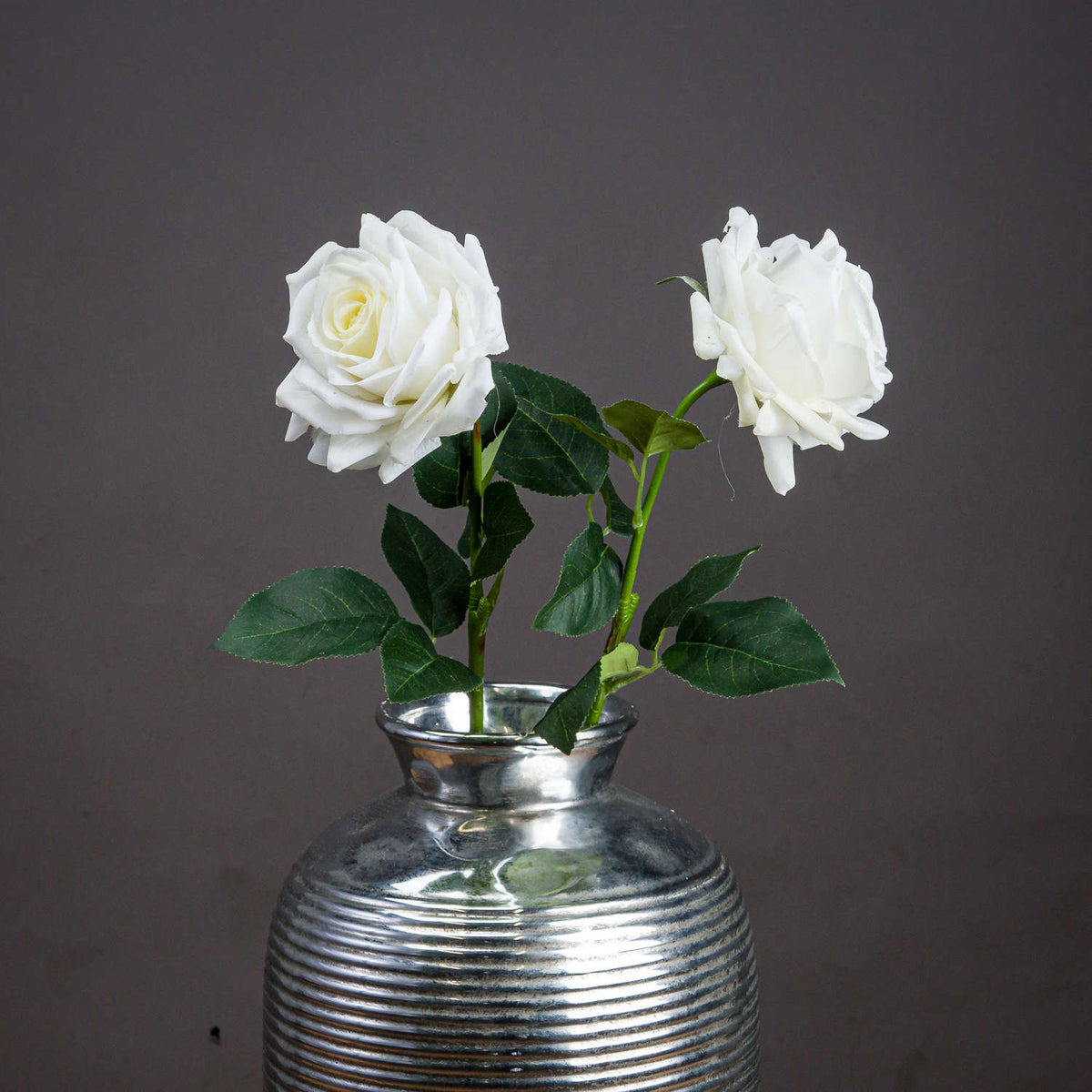 Large White Garden Rose - image 1