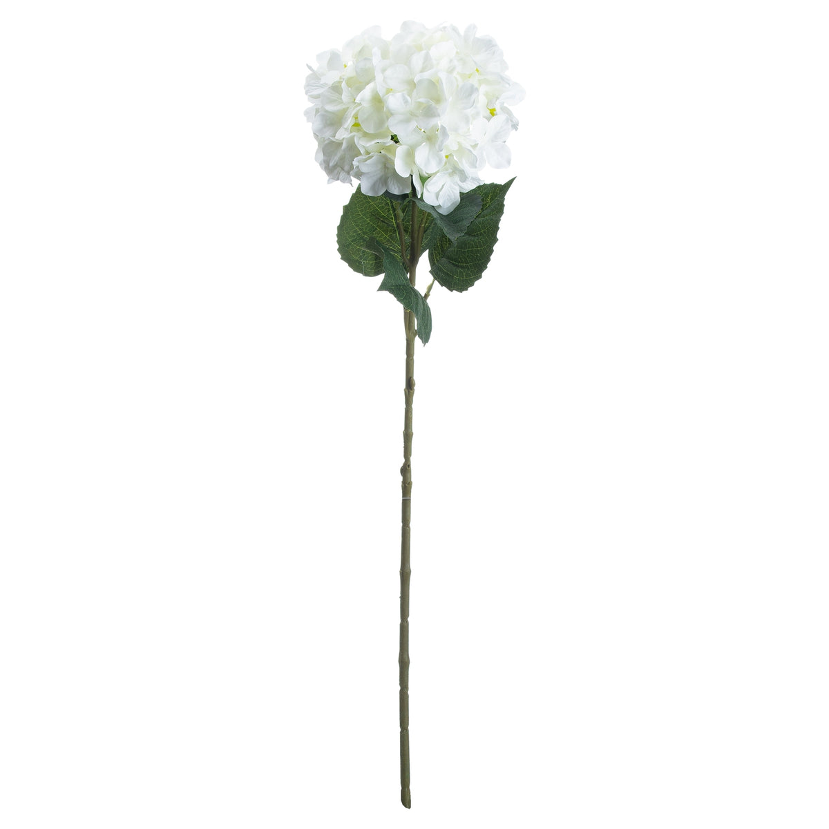 Single White Hydrangea - image 3