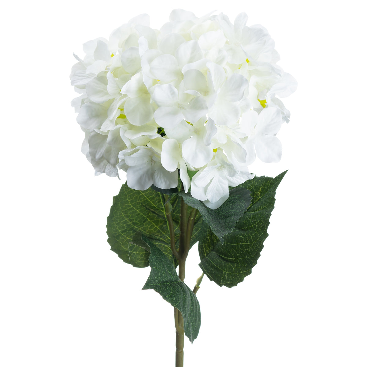 Single White Hydrangea - image 4