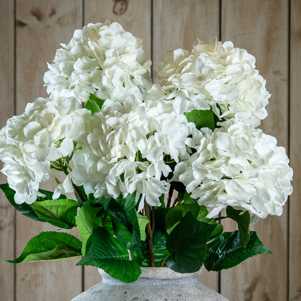 Single White Hydrangea - image 1