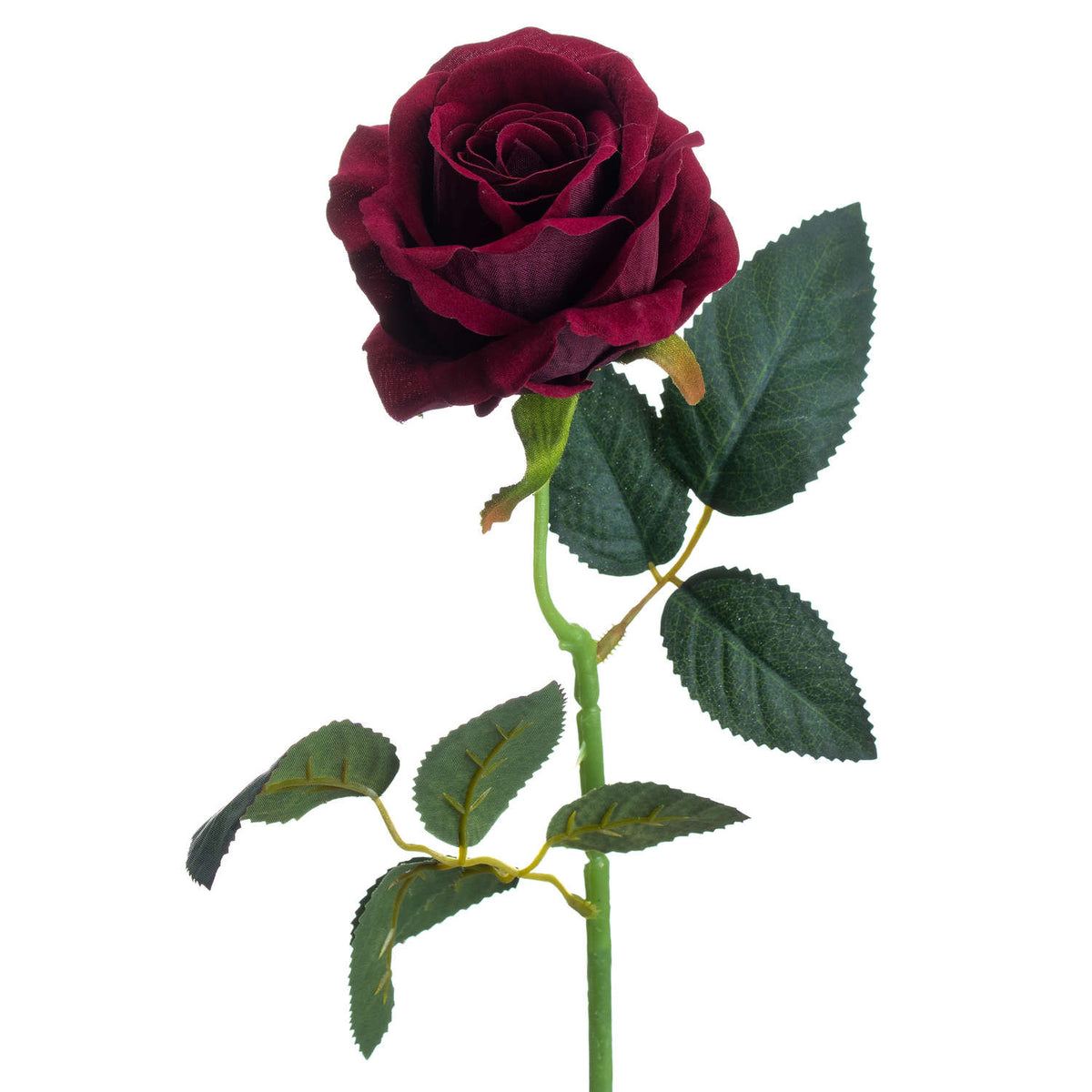 Deep Red Rose - image 3