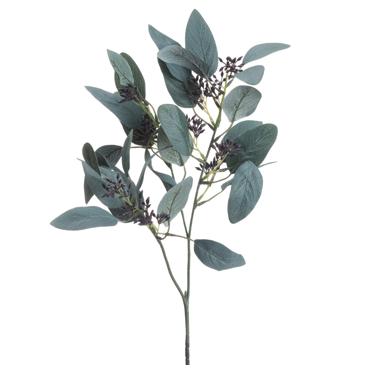 Seeded Eucalyptus Stem - image 4