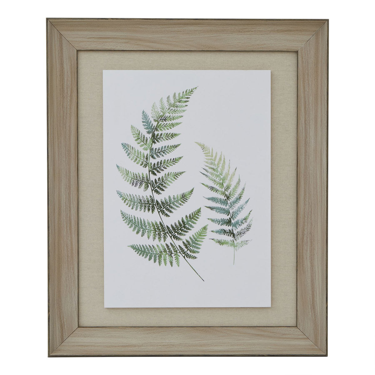 Watercolour Fern Duo In Washed Wood Frame - image 1