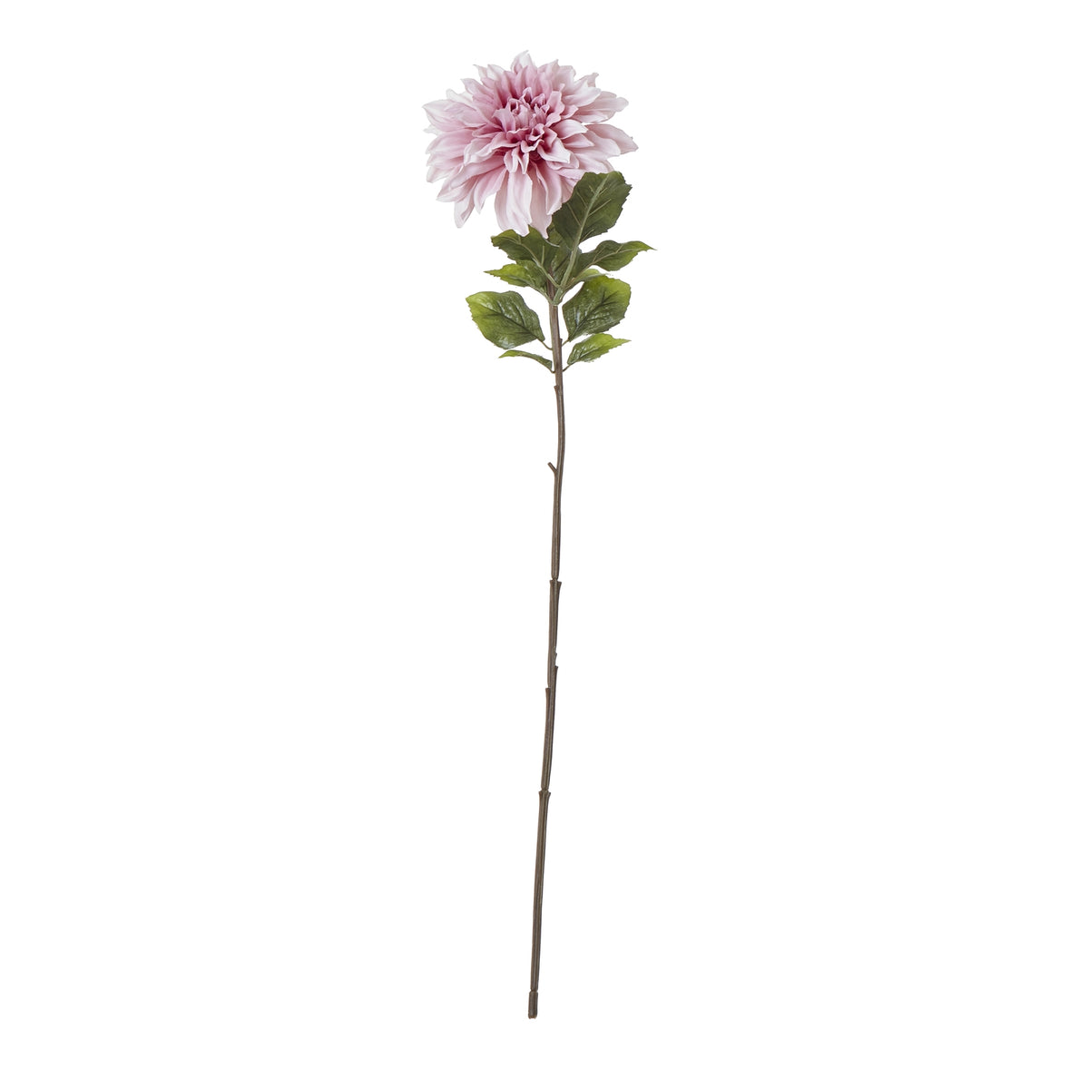 The Natural Garden Collection Pink Dahlia - image 3