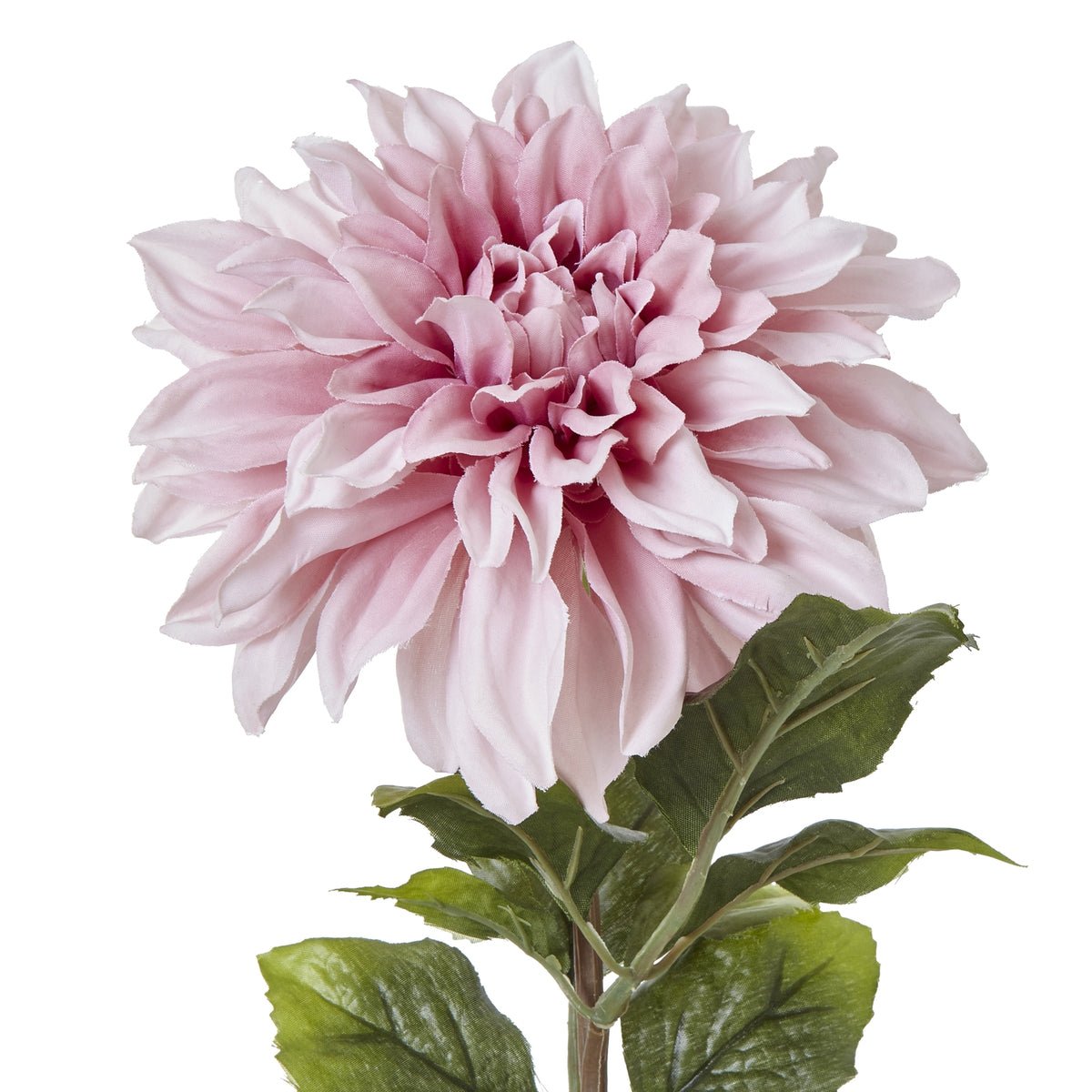 The Natural Garden Collection Pink Dahlia - image 5