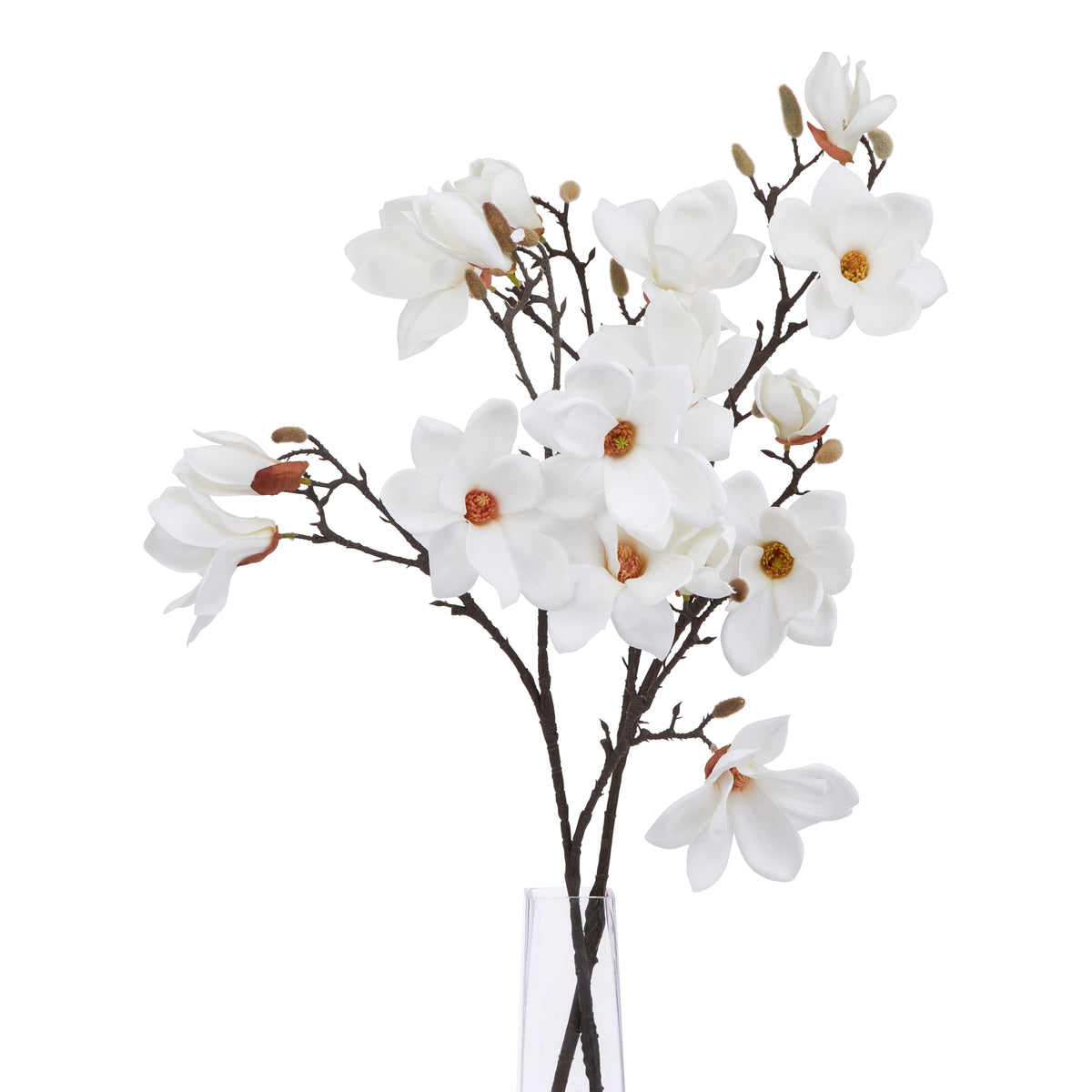 The Natural Garden Collection White Magnolia Stem - image 5