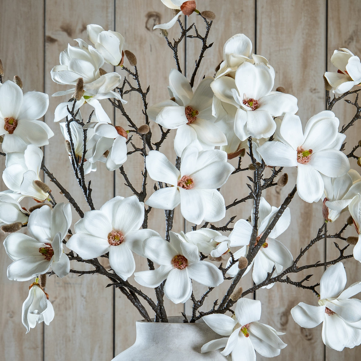 The Natural Garden Collection White Magnolia Stem - image 1