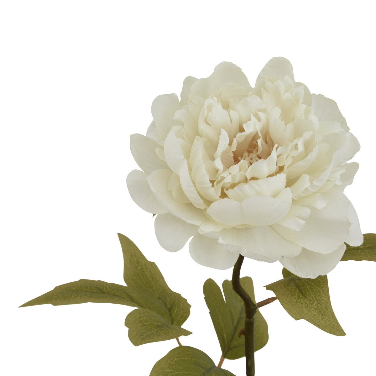 The Natural Garden Collection White Peony - image 4