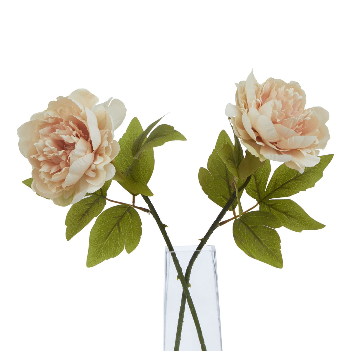 The Natural Garden Collection Blush Peony - image 3