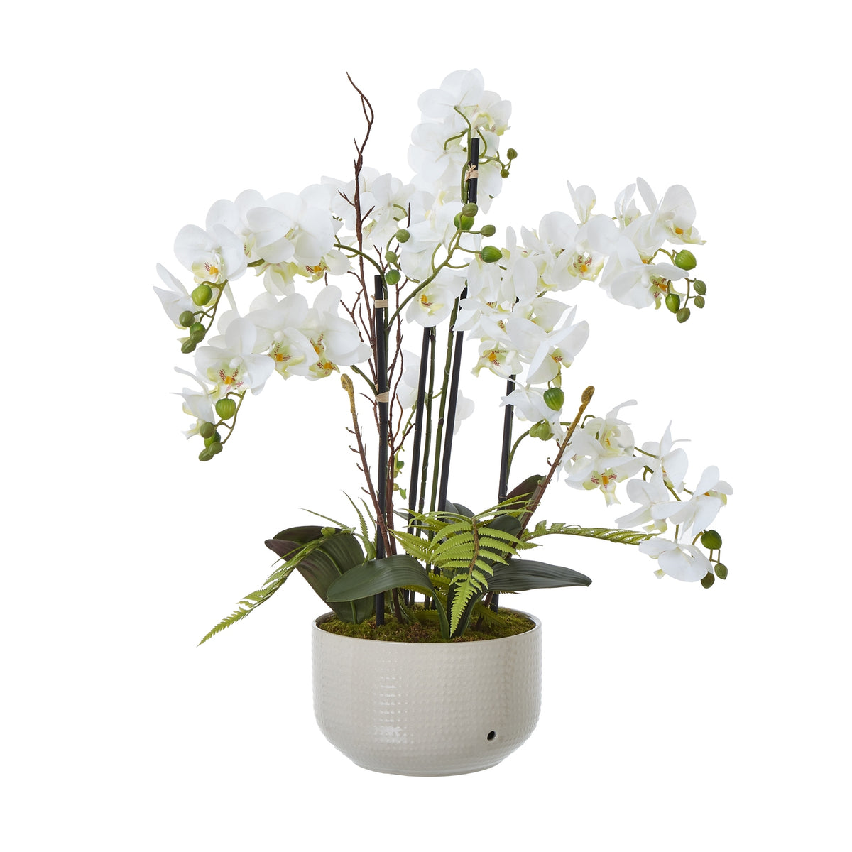 Large White Orchid In Ceramic Pot - image 1