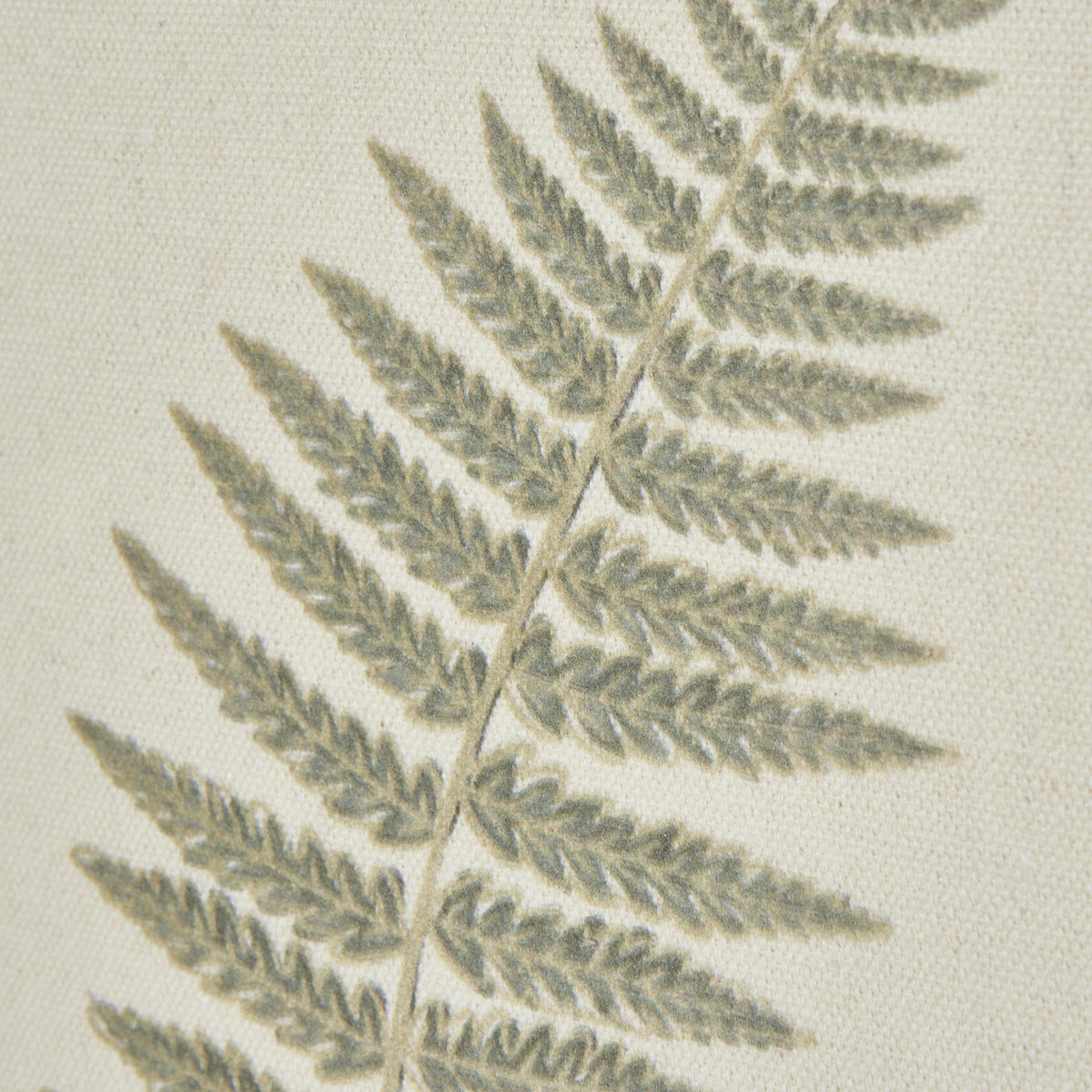 Fern Art On Texture-Torn Paper With Beaded Frame - image 4