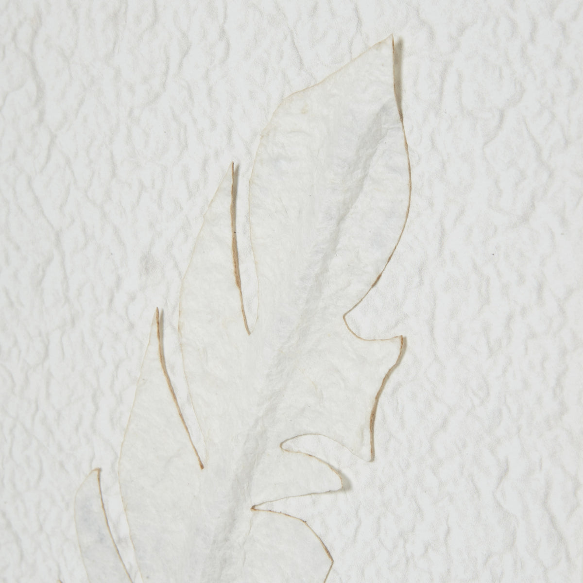 Solli White Feathers Art Mounted In Beaded Frame - image 3
