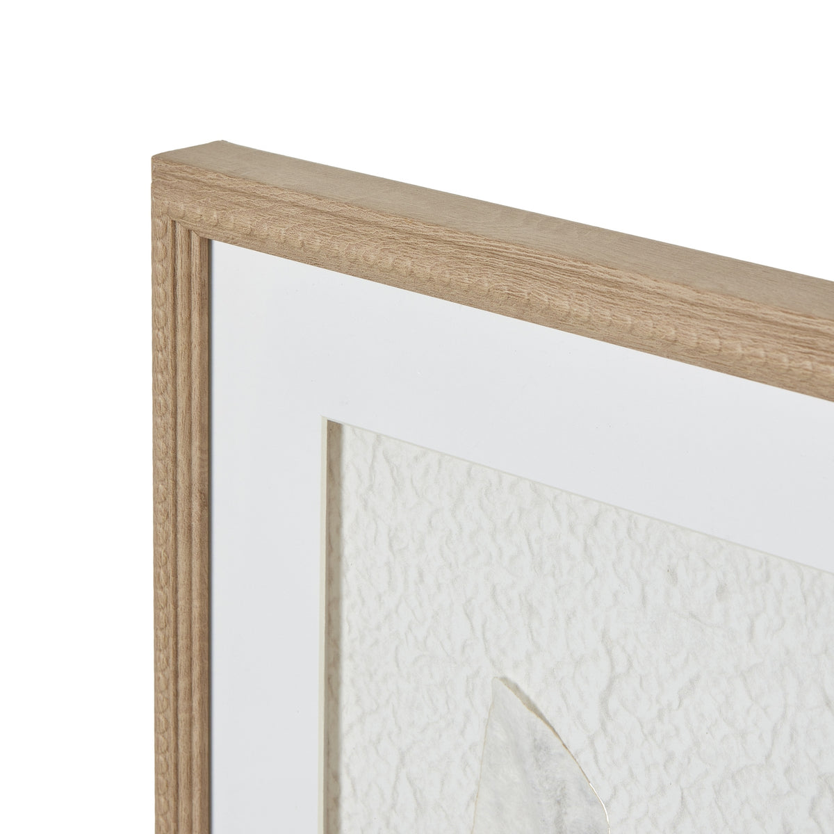 Solli White Feathers Art Mounted In Beaded Frame - image 4
