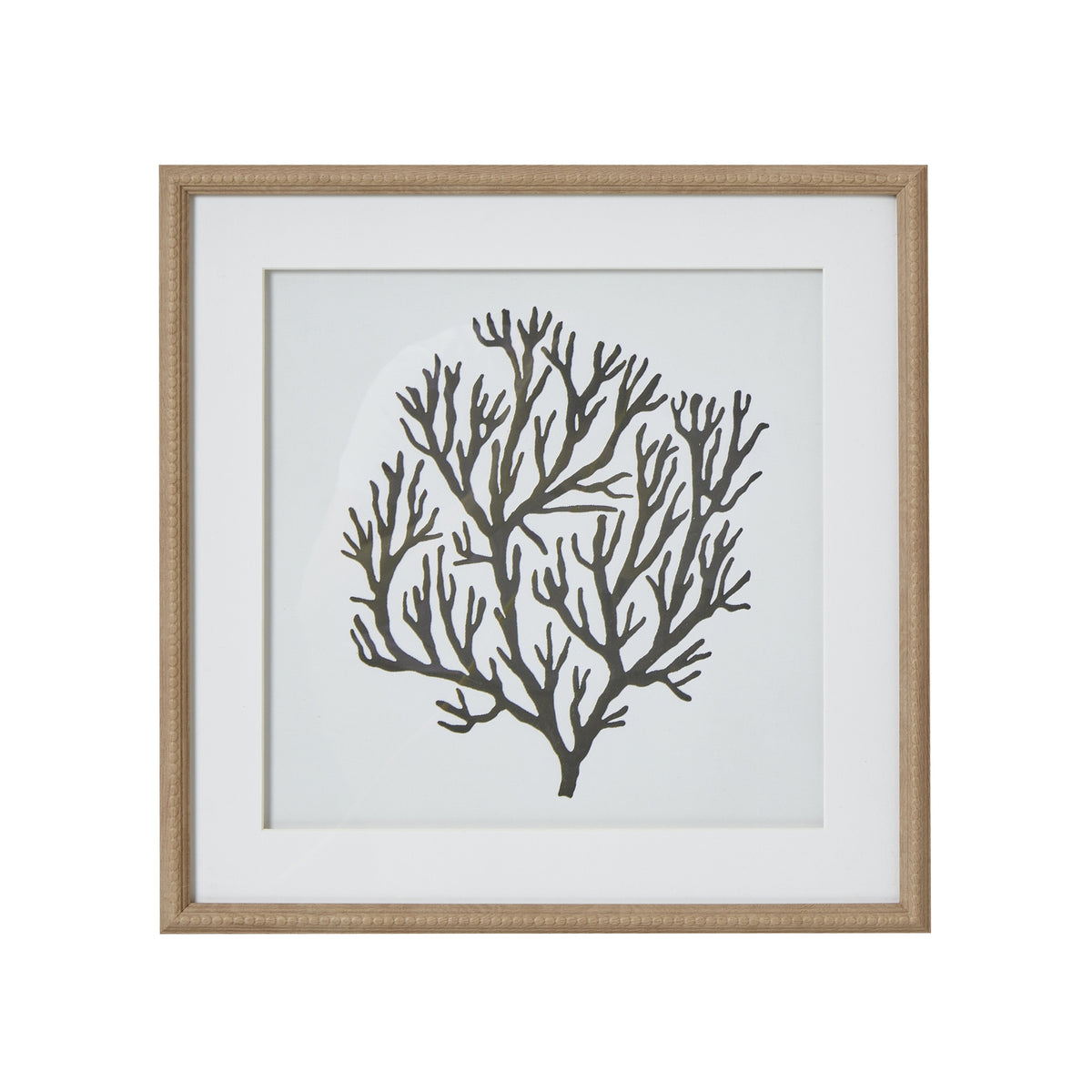 Atol Coral Art Mounted In Beaded Frame - image 1