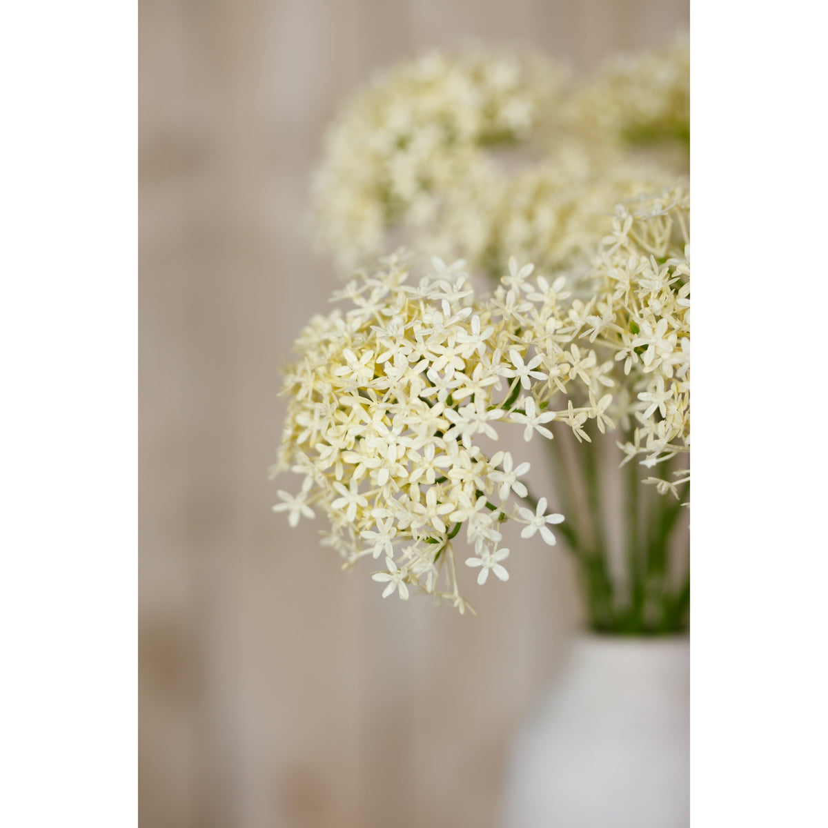 Three Head Cream Allium Spray - image 5