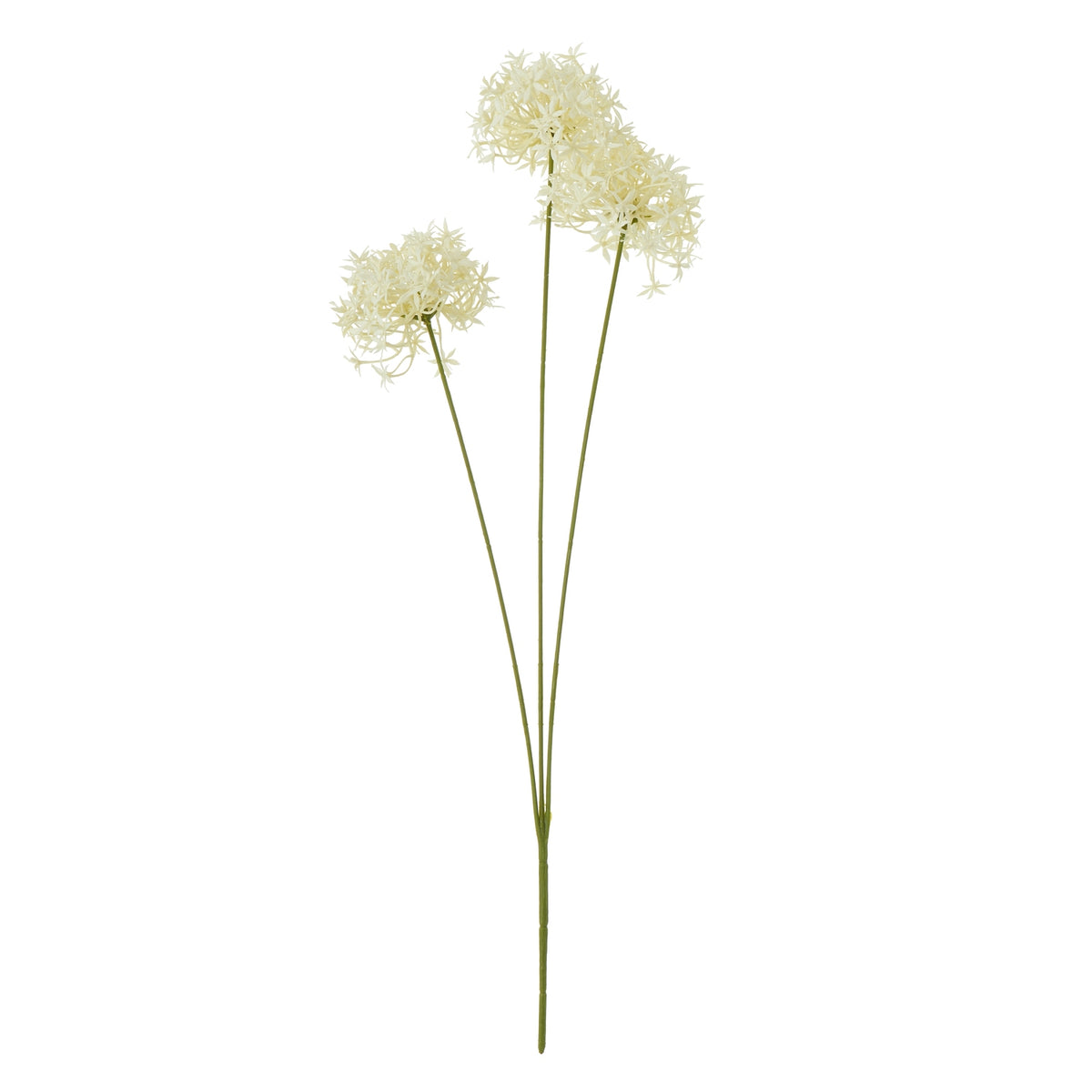 Three Head Cream Allium Spray - image 1