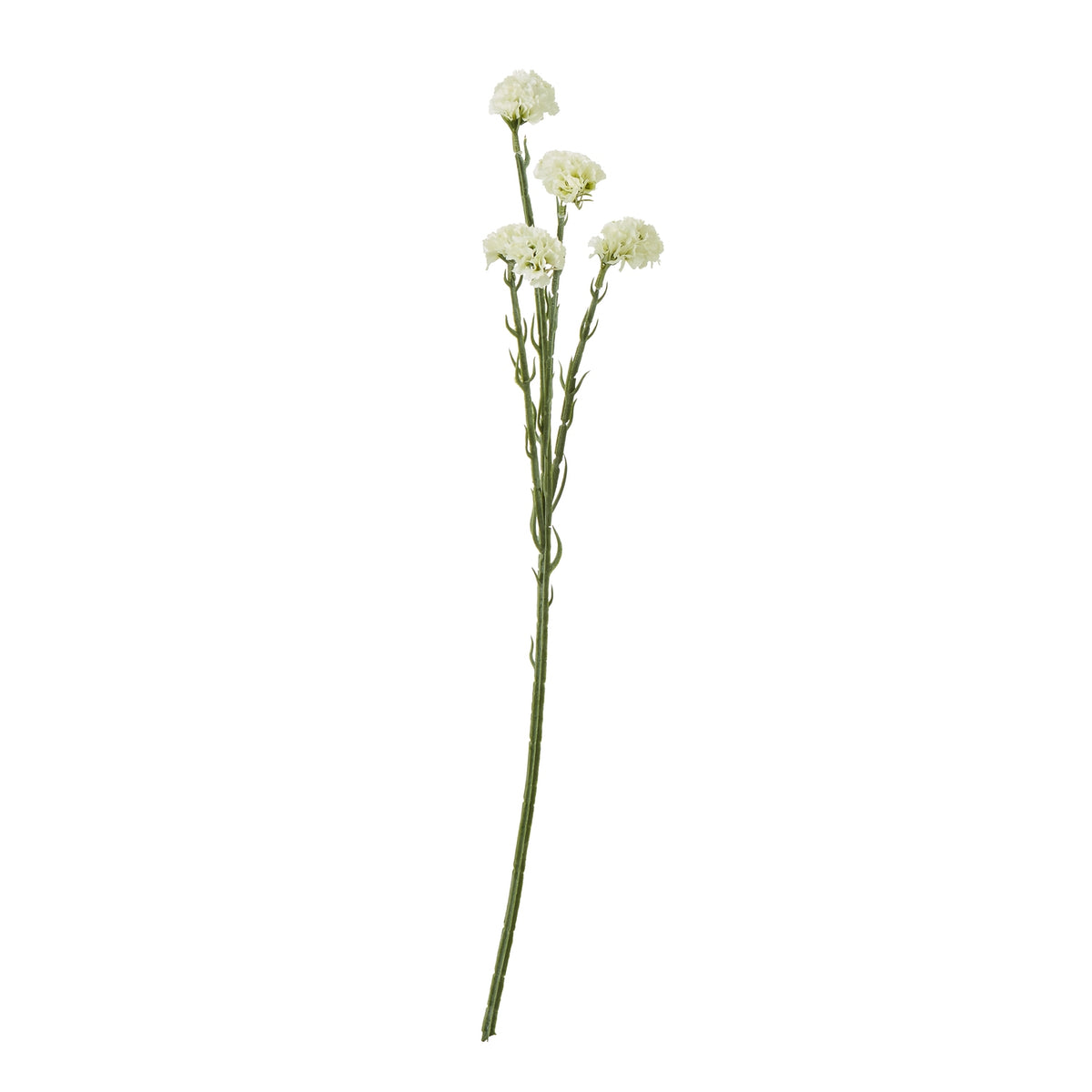 Cream Statice Spray - image 1