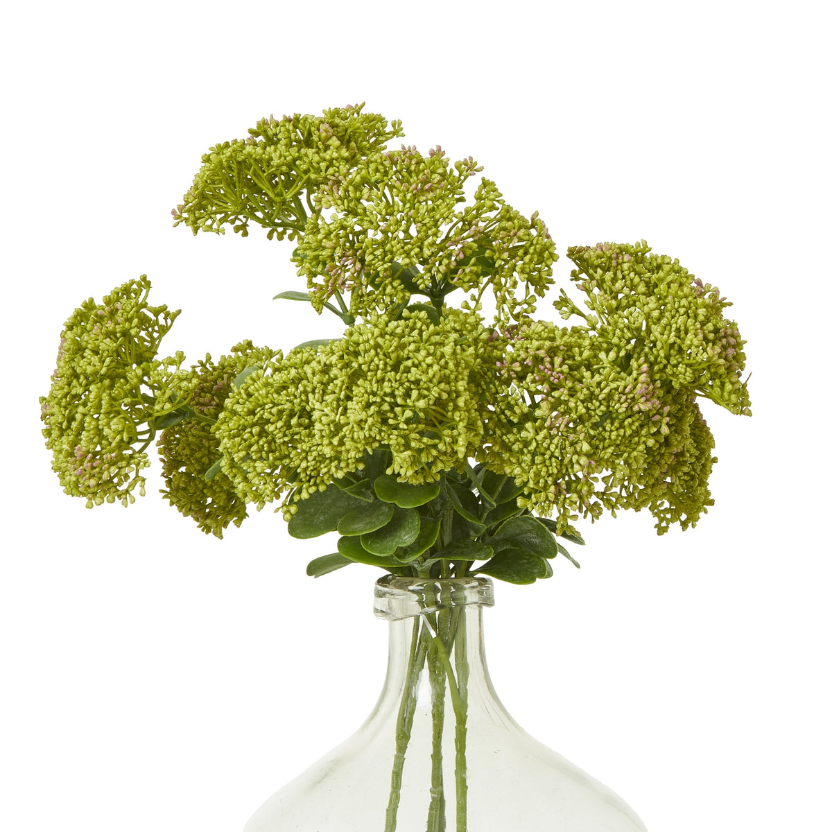 Green Sedum Spray - image 3