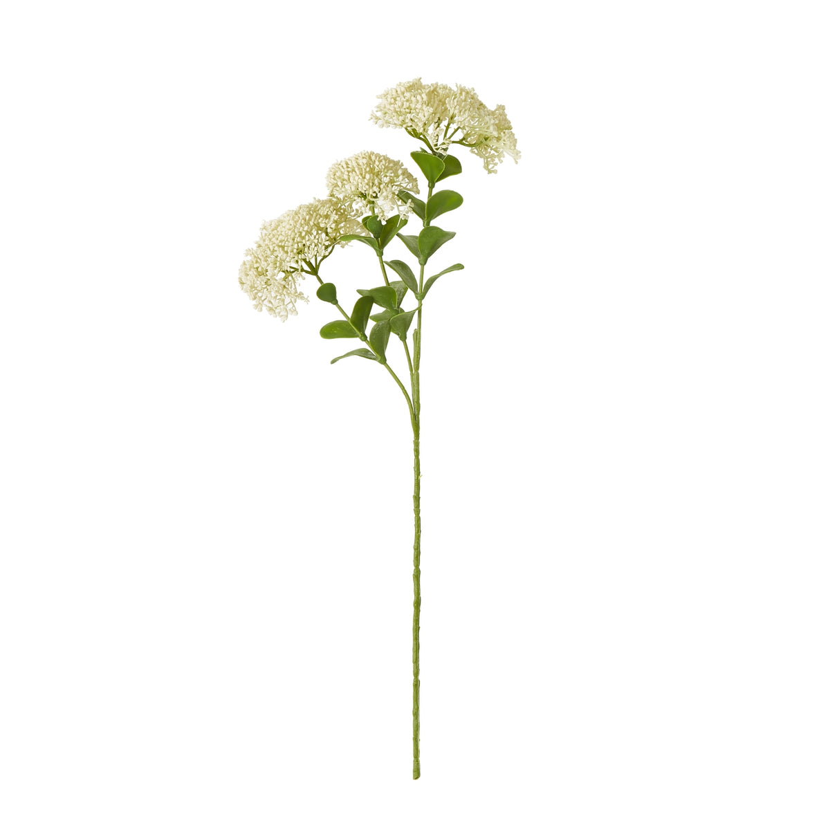 Cream Sedum Spray - image 1