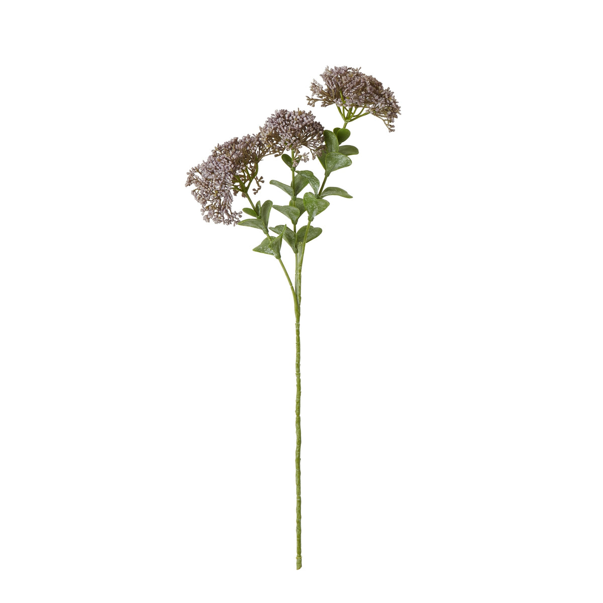 Purple Sedum Spray - image 1