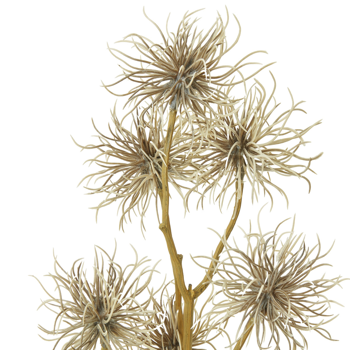 Brown Xanthium Spray - image 2