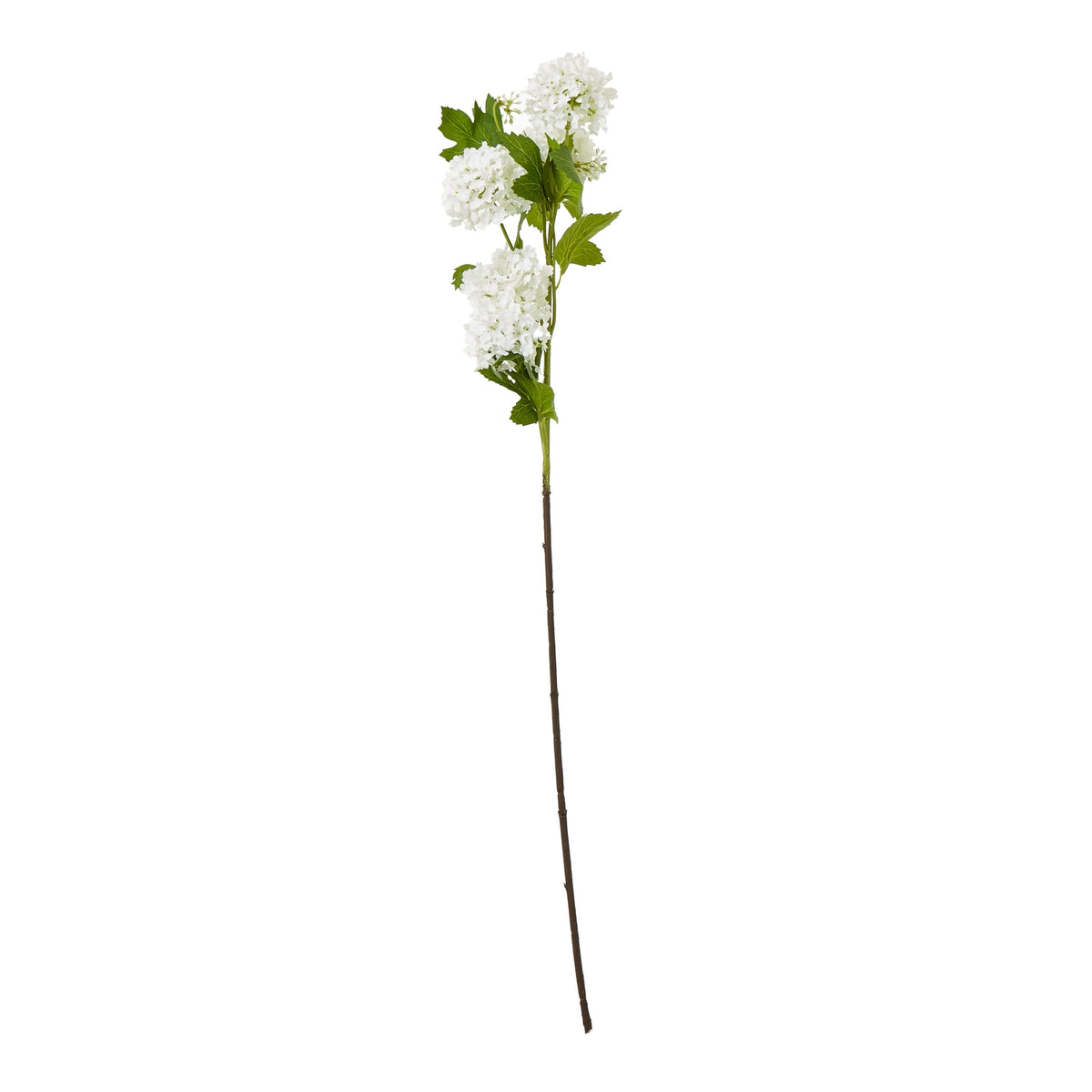 Cream Snowball Viburnum Spray - image 1