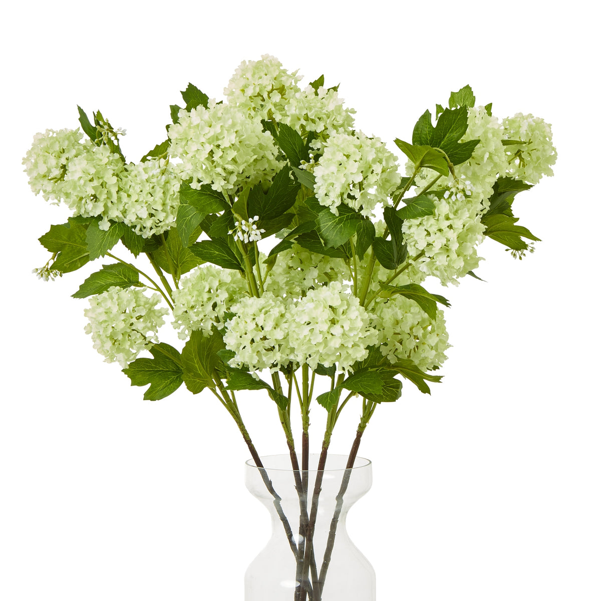 Green Snowball Viburnum Spray - image 3