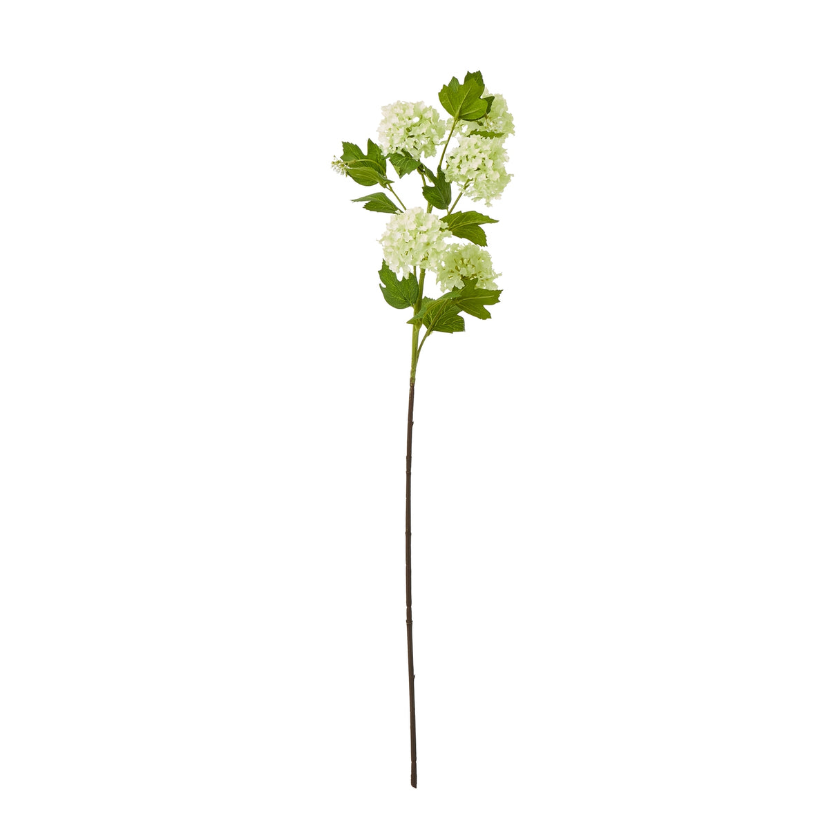 Green Snowball Viburnum Spray - image 1