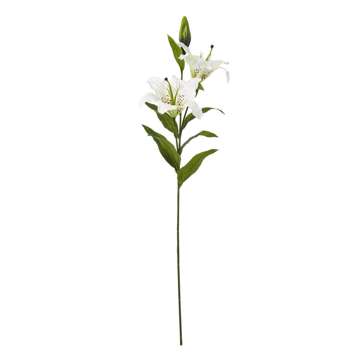 White Madonna Lily Spray - image 1